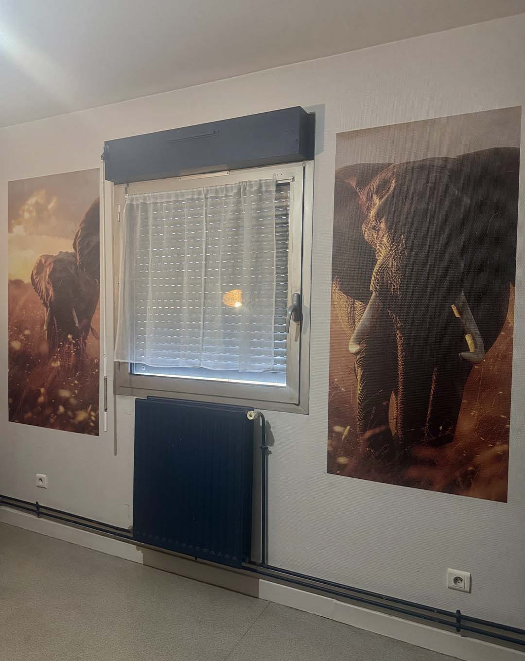 Décor mural représentant des éléphants